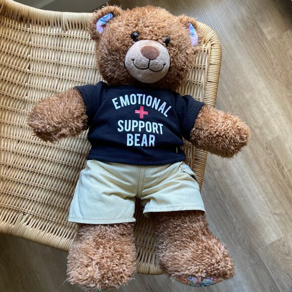 Build-A-Bear Brand Teddy Bear - Picture 2 of 6